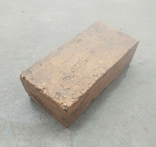 养花换个方法长得更旺，养花小技巧让你从新手到高手