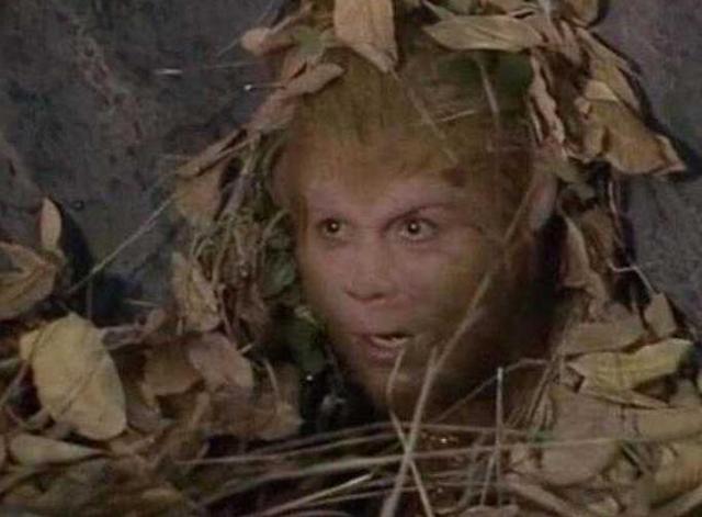 刘伯钦保护孙悟空吗，两界山刘伯钦与孙悟空何关系