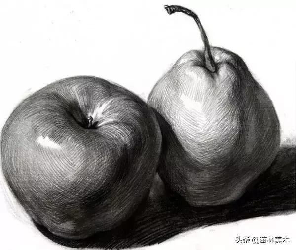 学画画零基础先学什么，零基础素描应该先练什么（零基础绘画教程，值得收藏）