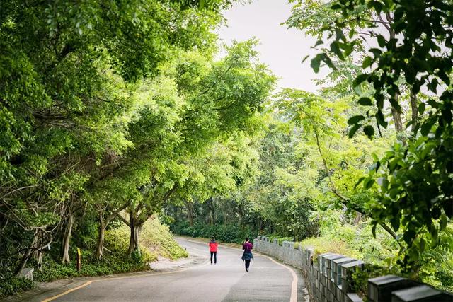 深圳十大山风景区，推荐10个非常值得一去的登山打卡点