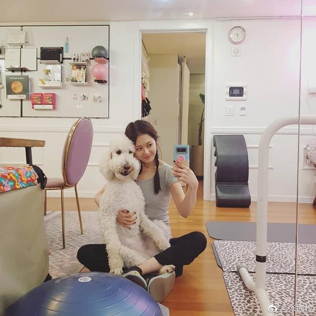 张娜拉如今在韩国现状，张娜拉现在做什么事业