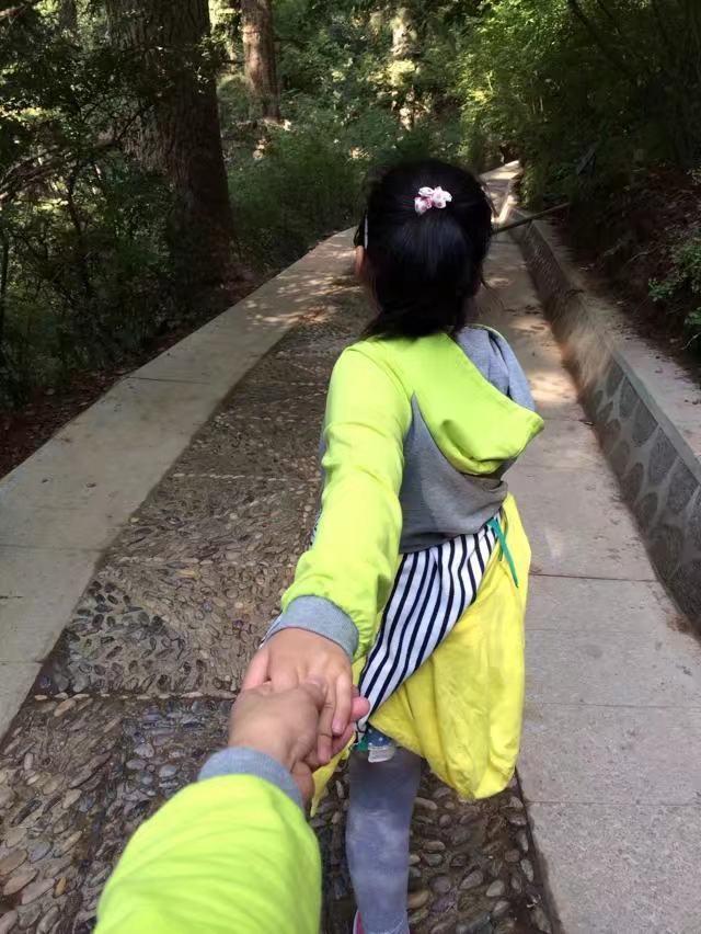 人间仙境满山红叶，原来是峨眉山的树叶红了……