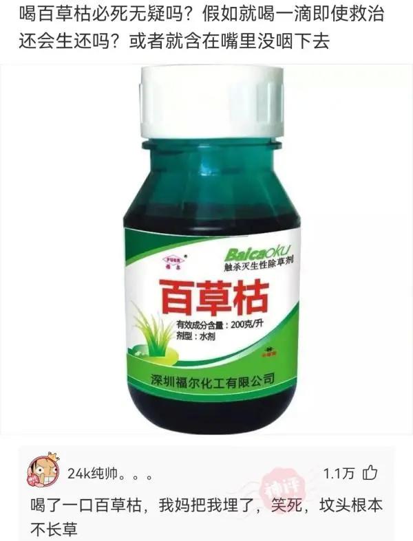 那些年我看到的神回复，有哪些网上很火但你却不懂的梗