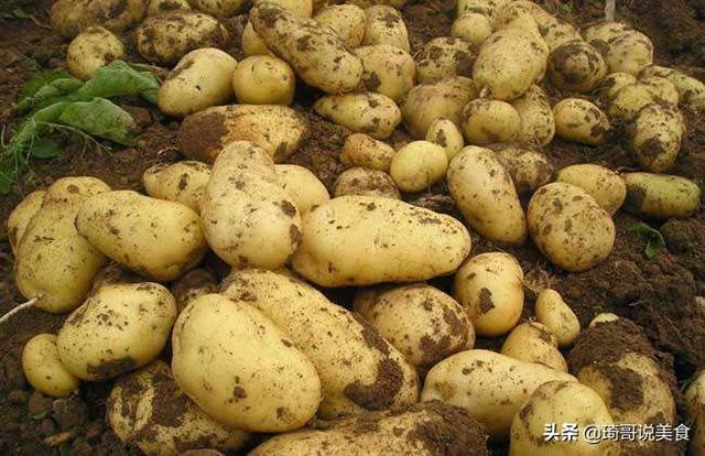 最实用的土豆的保存方法，原来保存土豆这么简单