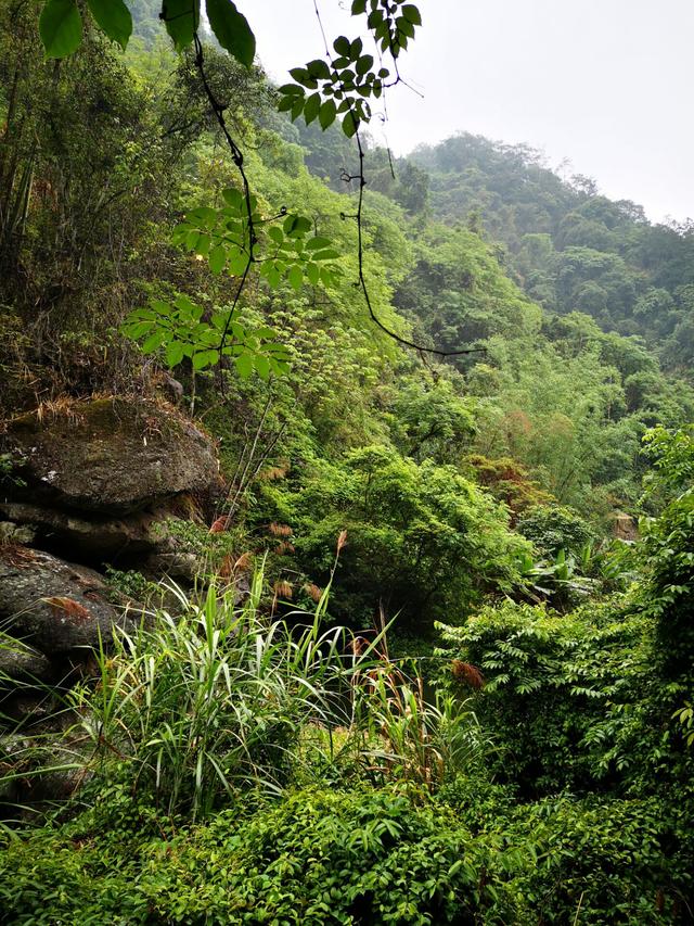 游览广西三友瀑布的心得，广西最原汁原味的山水