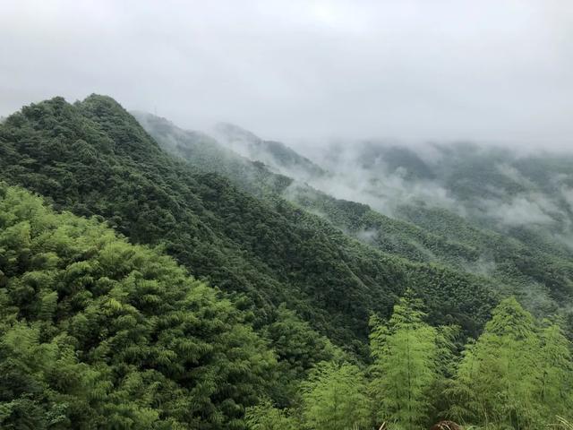 附近一日游景点自驾游，宁波周边自驾一日游景点推荐（广东1日自驾游休闲好去处推荐）
