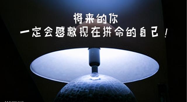 个人职业规划50字，个人职业规划800字