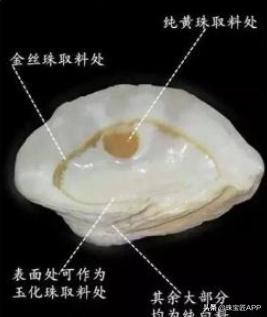 女王贝是什么宝石，贝壳首饰的颜色（珠宝首饰、钟表类目管理规则丨鸿石）
