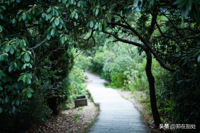 杭州冷门爬山路线，杭州登山路线08最好在这里