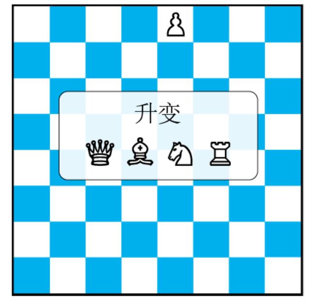 国际象棋规则图解，国际象棋走法规则及图示（国际象棋小课堂：和棋的规则）