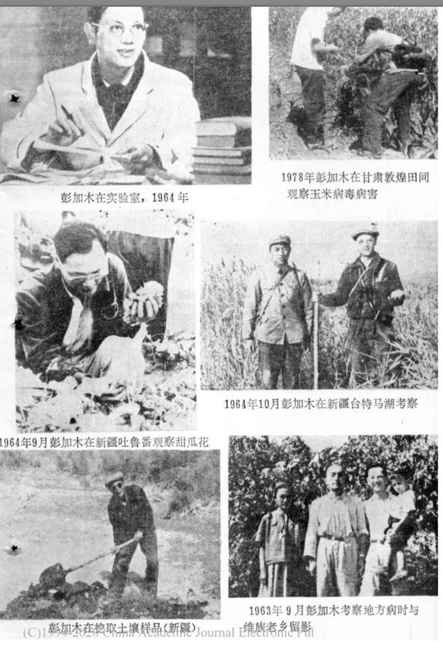 彭加木失踪之谜，1980年彭加木罗布泊失踪之谜