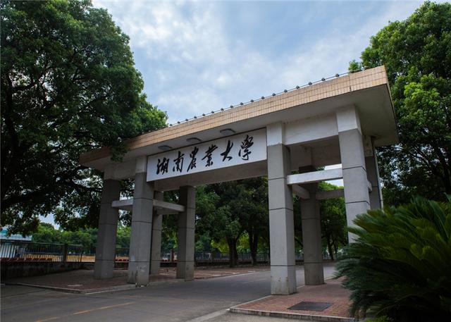 湖南省重点高校排名，中南大学榜首无人能撼动