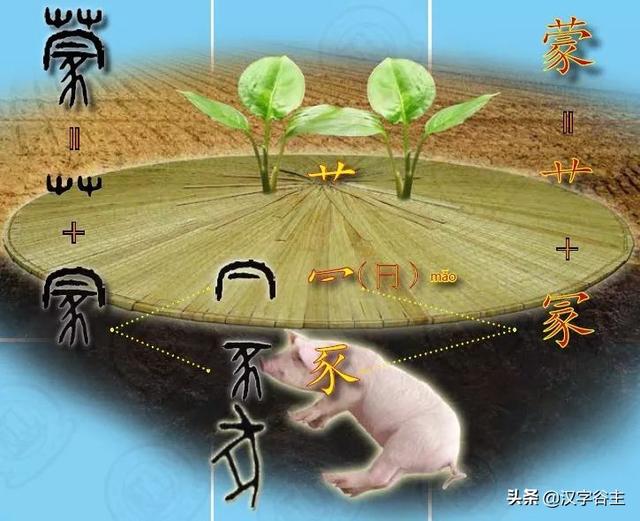豕的由来，豕的由来（从豕字到