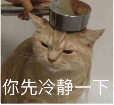 肥胖不问(肥胖不健康吗)