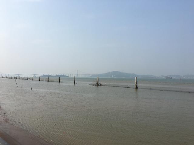 广州哪里可以看海，广州旅游看海的地方（广州这些“无敌海景”碧道藏不住了）