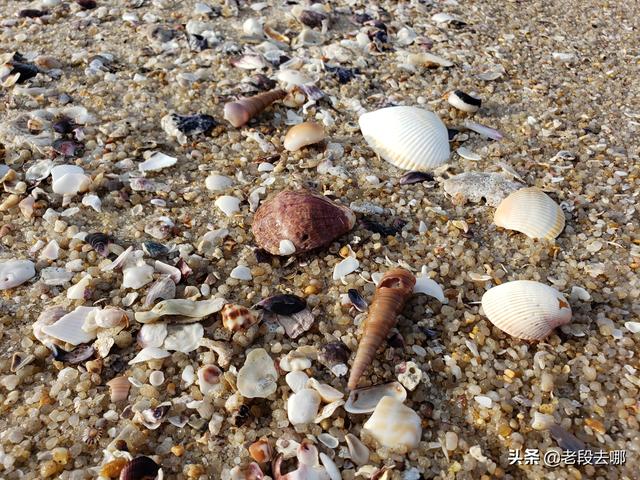惠州附近的海滩景点，惠州南表山旁还有三个如此优美的野沙滩