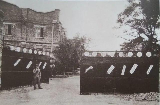 国内哪里的冰淇淋好吃，你家乡有哪些著名的本地冰淇淋品牌