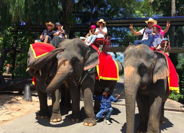 画面泰国旅游骑大象，90后小清新出游泰国