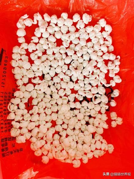 可以用自然的土做猫砂吗，5种方法自制猫砂