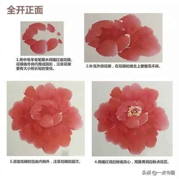 牡丹花头的画法对照表，写意牡丹花头的各种画法