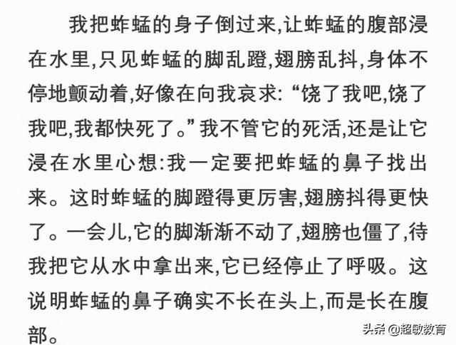 小学作文写作辅导，小学作文写作方法与技巧辅导（超详细的小学作文辅导作文教案——基础篇）