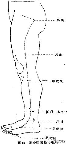 归来穴位置最简单的取穴方法，足阳明胃经45个针灸穴位图