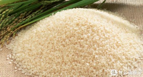 大米产地排行榜前十名测评，10种大米比较出名