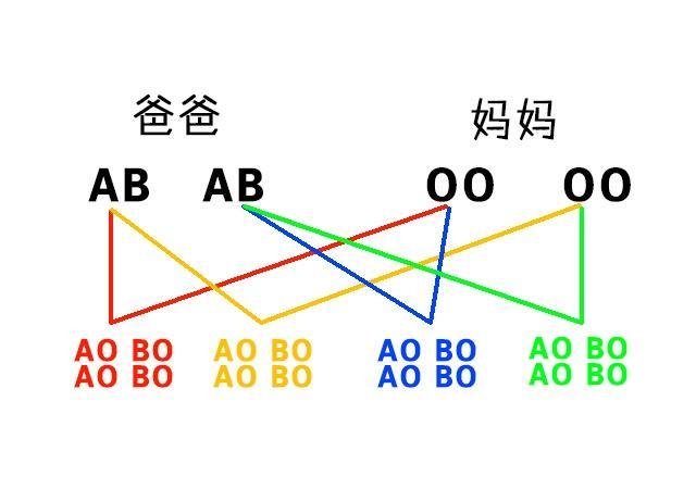 父母血型与子女关系图，让你看懂父母与子女血型的关系