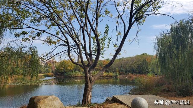 人生九言经典语录，我自己的人生，我想自己决定