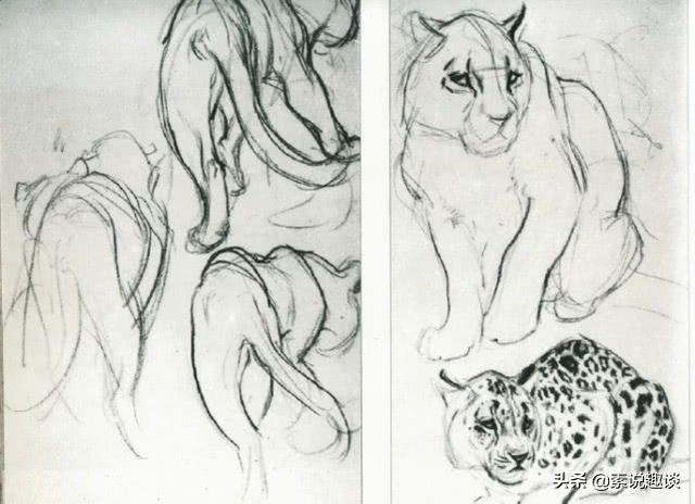 刘继卣画虎作品图，刘继卣珍贵绘画手稿