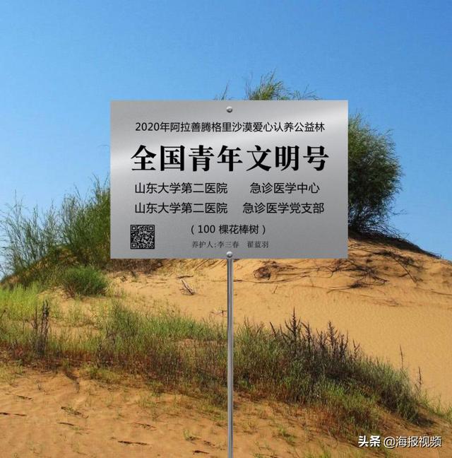 阿拉善植树状况，容声冰箱喊你来阿拉善种树了