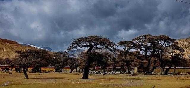 山南旅游景点大全，山南旅游最美景点