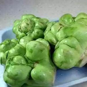 儿菜的食用方法，儿菜怎么吃这8种四川人冬季最爱的蔬菜