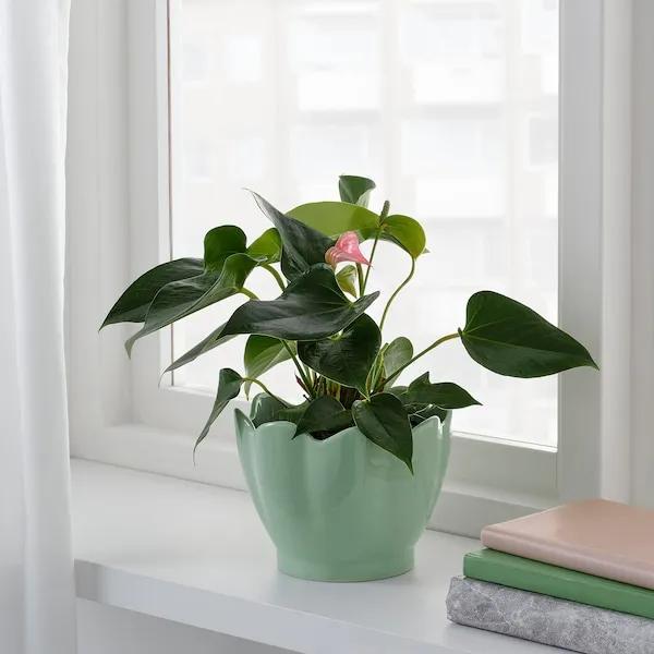 宜家必买的15个品牌，超强总结2022年宜家值得入手的单品