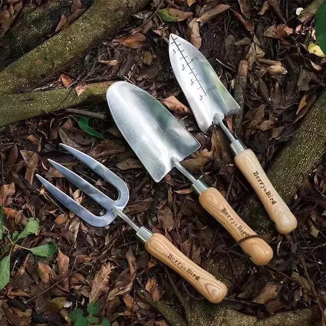 园艺批发市场，这个园艺市场本周末放大招