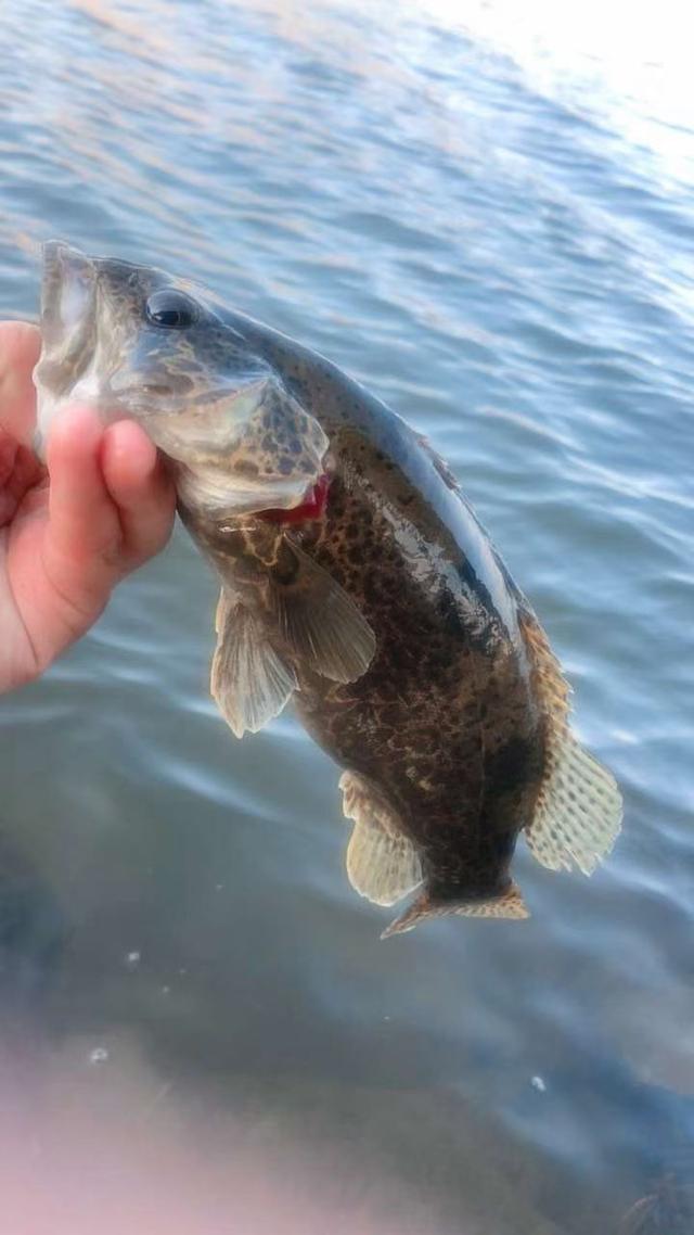 为什么很多人去印尼打工，记录印尼打工生活点滴