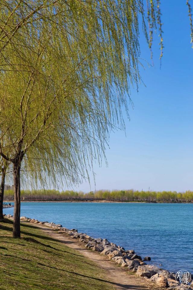 郑州周边免费景点，郑州最近免费旅游景点大全（不出郑州的8个赏花遛娃地）