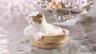 日本温泉一日游，深圳周边其实就有50多家真温泉