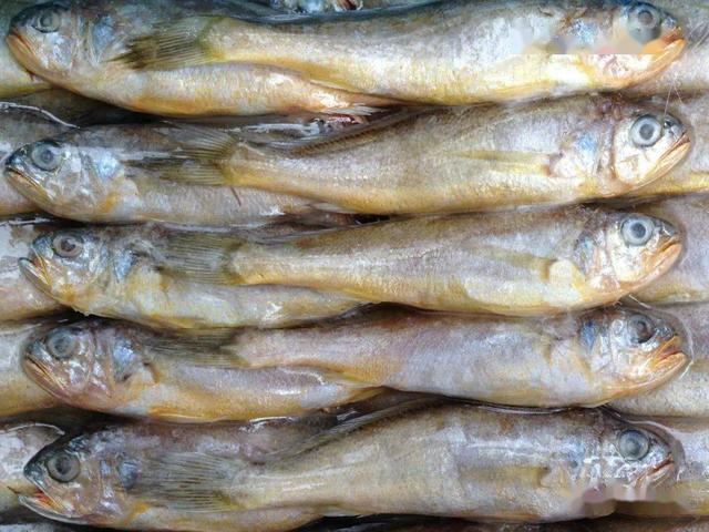 中秋家宴，把這5種海魚端上餐桌，營養高價格低，待客也倍有面子 熱愛美食 第5张