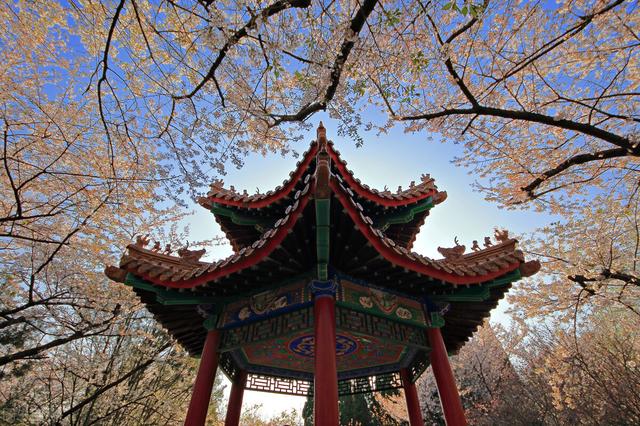 徐州值得去的旅游景点，江苏徐州最值得去的十五个地方