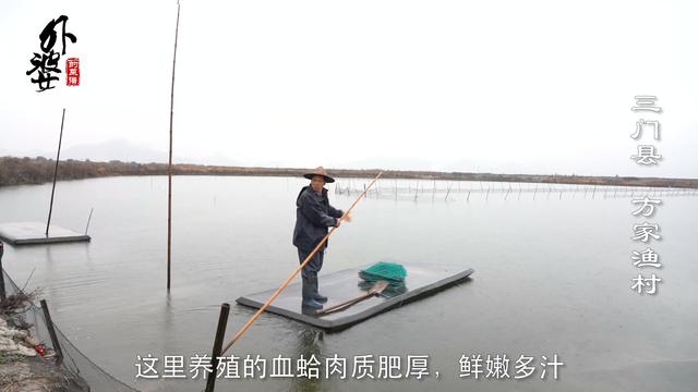血蛤怎么做好吃，血蛤怎么吃最有营养（浙江老渔民带你解锁血蛤健康新吃法）