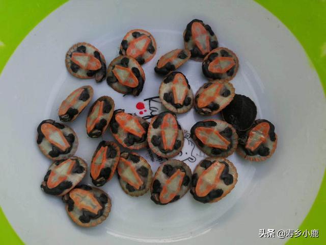 乌龟可以快递吗，快递运回来的小乌龟怎么处理（被禁止寄递的活体动物）