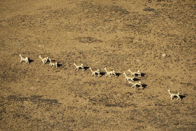 澜沧江流经地图，澜沧江出境后流经的地方（澜沧江流域的地形特征）