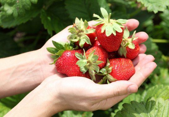 教你在家怎么做草莓酱，教你在家自制草莓酱
