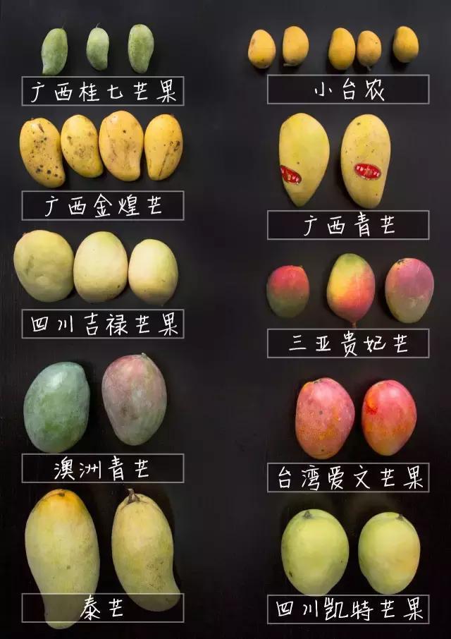 芒果共有几个品种哪个最好吃，芒果集中上市“忙着降价”
