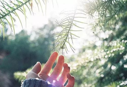 人生得一知己足矣，名言人生得一知己足矣（人生一辈子）