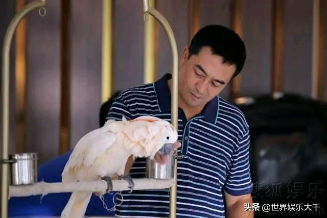 张嘉译闫妮合作的电视剧，6年后重温一仆二主