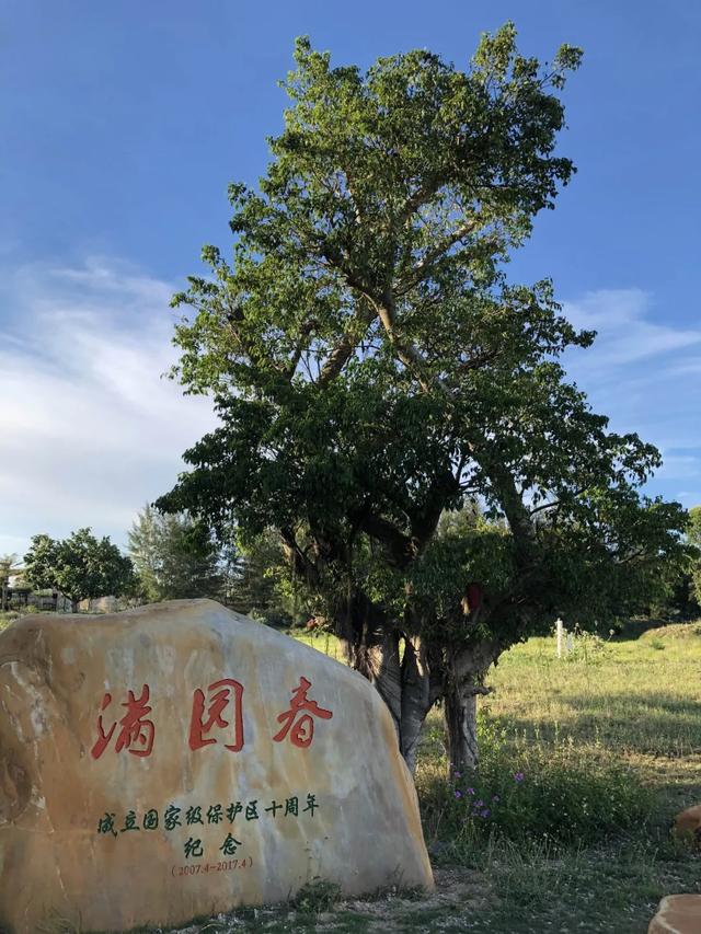 广东湛江旅游攻略，湛江旅游攻略最全攻略（广东省湛江市赤坎区十大景区有哪些）