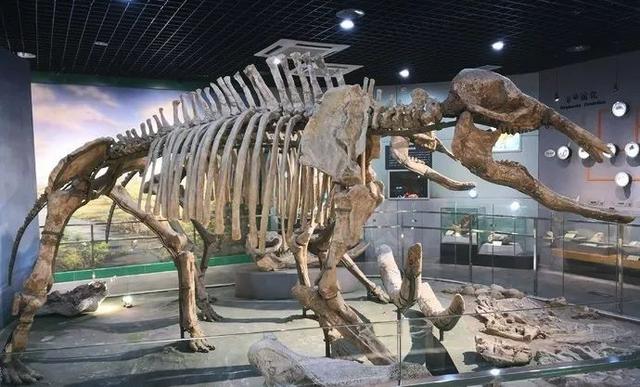 郑州周边免费景点，郑州最近免费旅游景点大全（不出郑州的8个赏花遛娃地）