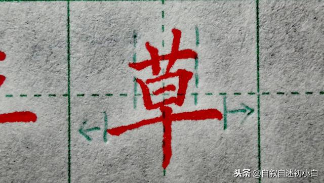 草字头加长怎么读，草书练字教程米字格（<二>艹、屮、艸、芔、茻）